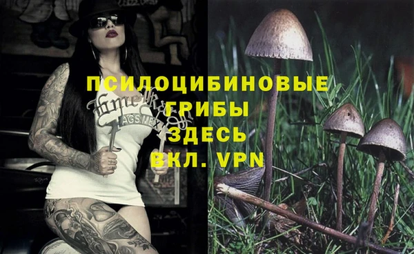 марки lsd Аркадак