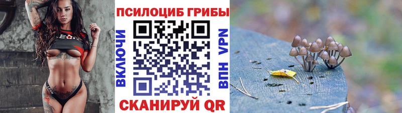 Псилоцибиновые грибы мухоморы  blacksprut   маркетплейс клад  Морозовск 